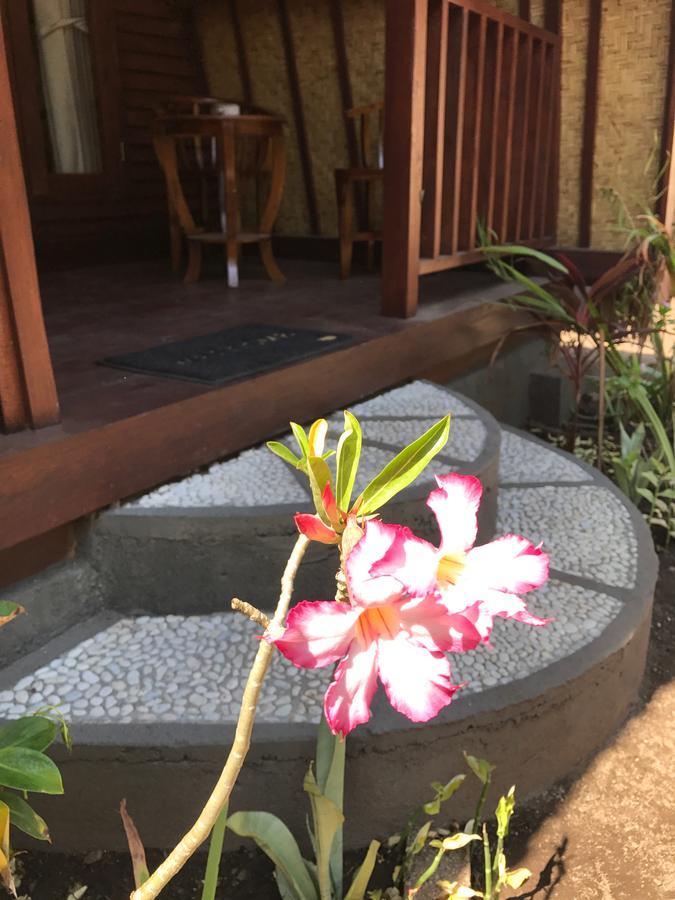 Meno Madia Bungalows Gili Meno Bagian luar foto
