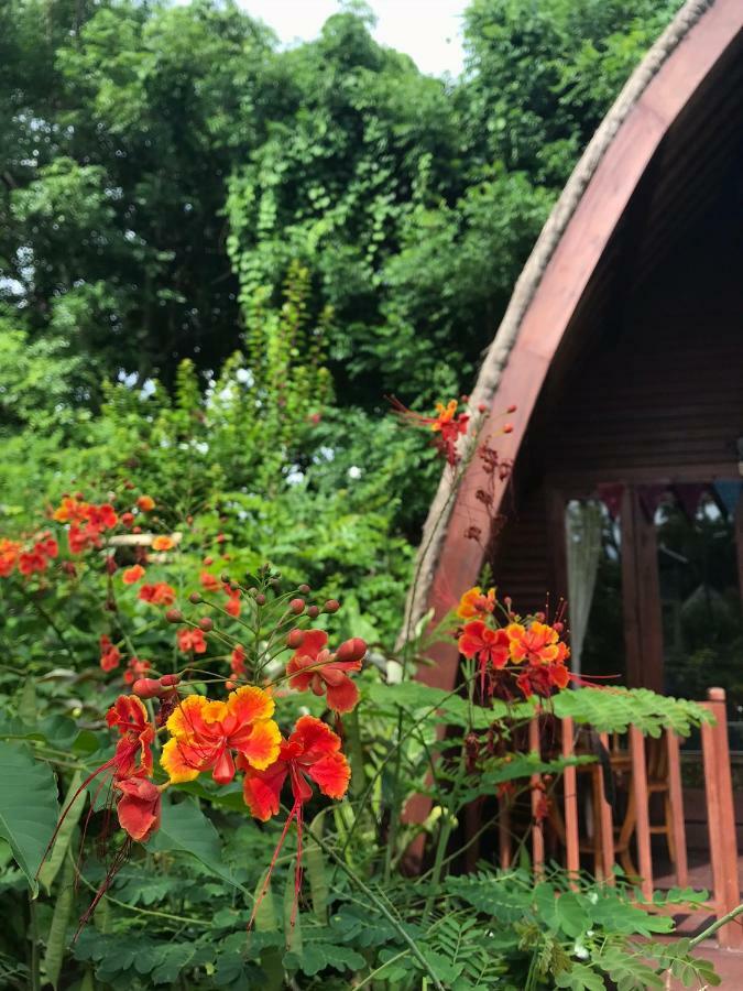 Meno Madia Bungalows Gili Meno Bagian luar foto