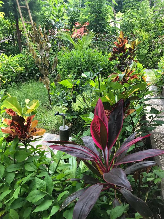 Meno Madia Bungalows Gili Meno Bagian luar foto